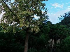 -贵阳市花溪国家城市湿地公园