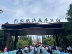 -黄海国家森林公园