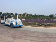 -渔岛海洋度假区