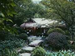 -中国茶叶博物馆(双峰馆区)