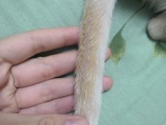 -联合动物医院(光谷诊疗中心)