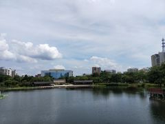 -映月湖公园