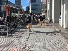 -Animate(秋叶原本馆)