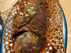 -真定郝家排骨(正定县总店)