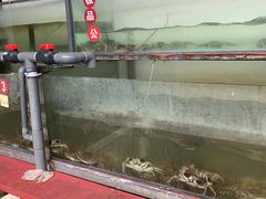 -乡乐园蟹庄·阳澄湖农家乐