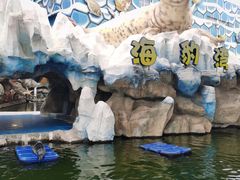 -华夏文旅海洋公园