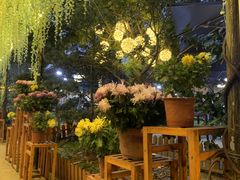 -张鸟园农家乐(张鸟园店)