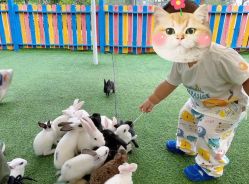 -萌宠亲子动物乐园(槐房万达店)