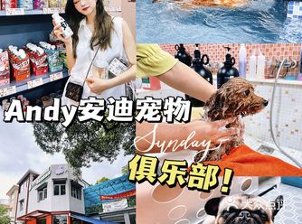 中山探店独栋宠物俱乐部️游泳跑步GET！