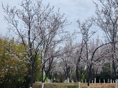 -南京邮电大学(仙林校区)
