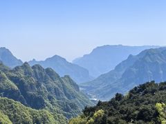 -王莽岭风景区