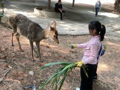 -深圳野生动物园