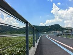 -鸣鹤古镇