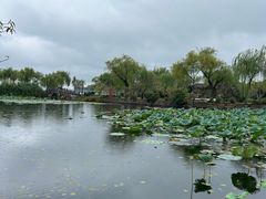 -无锡蠡湖国家湿地公园-蠡园