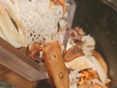 -野·大山里野生菌石锅土鸡(益田假日店)