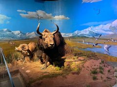 -武汉园博园(武汉自然博物馆)