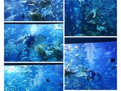 -多彩贵州城极地海洋世界