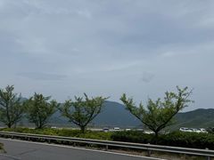 -江南天池