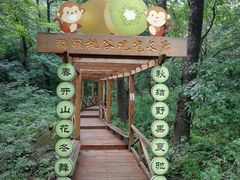 -大岭沟猕猴桃谷风景区