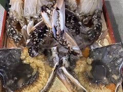 -渔娘渔家丹东海鲜(东直门店)