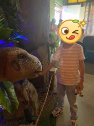 -恐龙探索乐园(磁器口店)