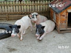 -清河半岛温泉度假酒店