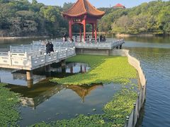 -广州莲花山旅游区