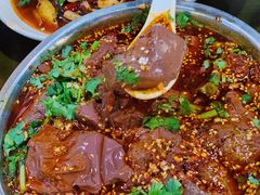 -小杨翘脚牛肉
