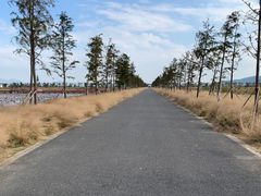 -漩门湾国家湿地公园