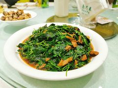蚌肉草头-壹只菜·崇明本地特色菜(崇明南门店)