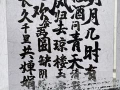 -奔跑吧乐园