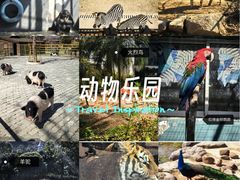 -无锡动物园·太湖欢乐园