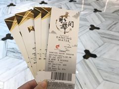 -影汇之星8字形摩天轮