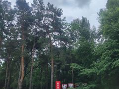 -黑龙江省森林植物园
