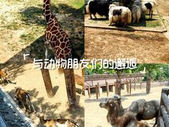 -太原动物园
