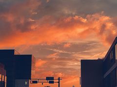 -长藤鬼校(龙翔店)