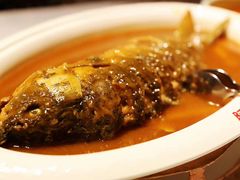 -阿五黄河大鲤鱼(英协路店)