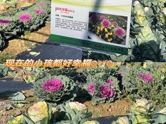 -郑州自然博物馆(惠济区)