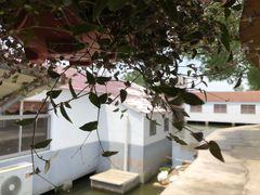 -菜根香土菜馆(文昌东路店)