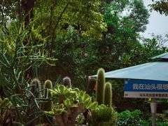 -汕头龙光喜来登酒店