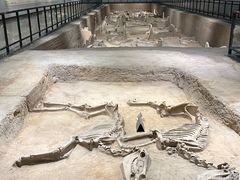 -洛阳周王城天子驾六博物馆