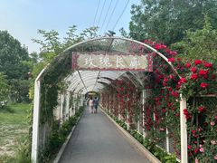 -太阳宫公园