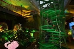 -恐龙探索乐园(磁器口店)