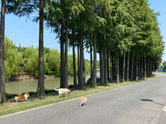 -上海月湖雕塑公园