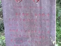 -保利石象湖景区