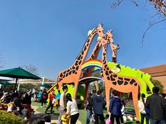 -季高兔窝窝亲子园(上海薰衣草公园店)