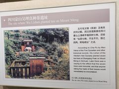 -中国茶叶博物馆(双峰馆区)