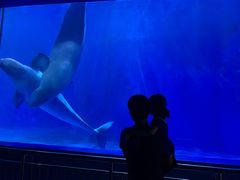 -多彩贵州城极地海洋世界