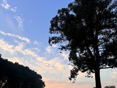 -旭宝高尔夫俱乐部