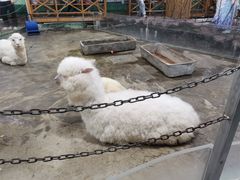 -上海大自然野生昆虫馆(东方明珠·爬宠昆虫探索中心)
